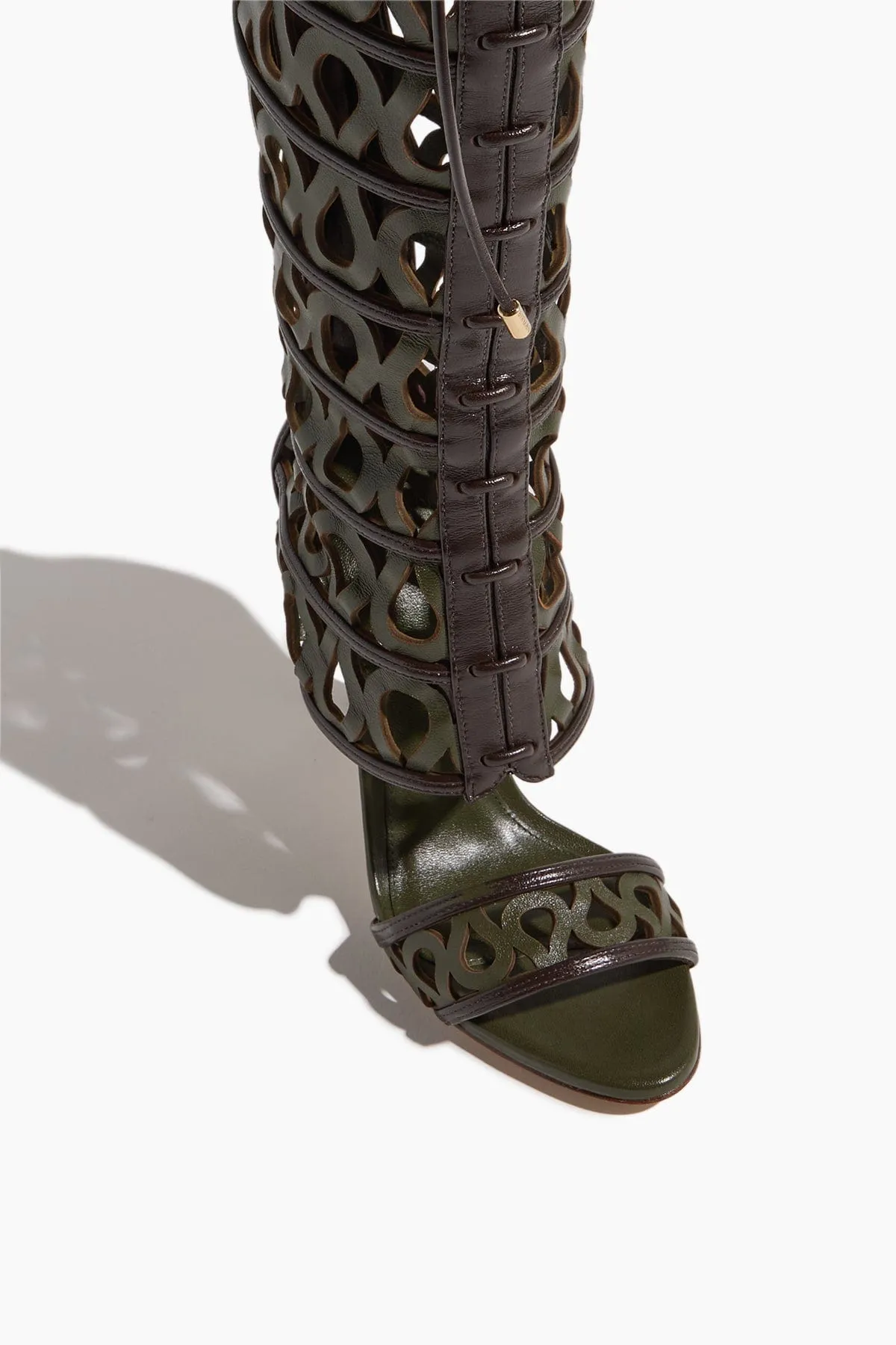 Dakota Sandal in Brown/Botanic Green